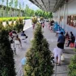 胡志明市人委会_3252-UBND-ĐT号公文
