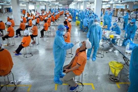 胡志明市医疗厅_8095-SYT-NVY号公文